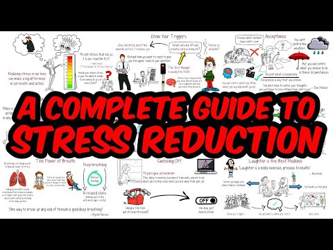 How a Serious Stress Reduction Strategy Can Improve Your Life
