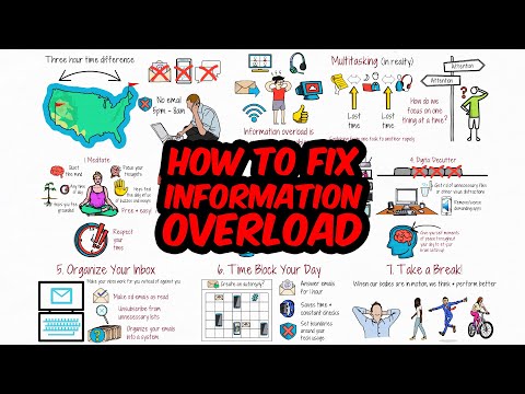 What You Need to Know to Conquer Information Overload